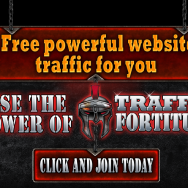 Traffic Fortitude
